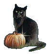 catpumpkin
