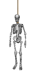 hangingskeleton